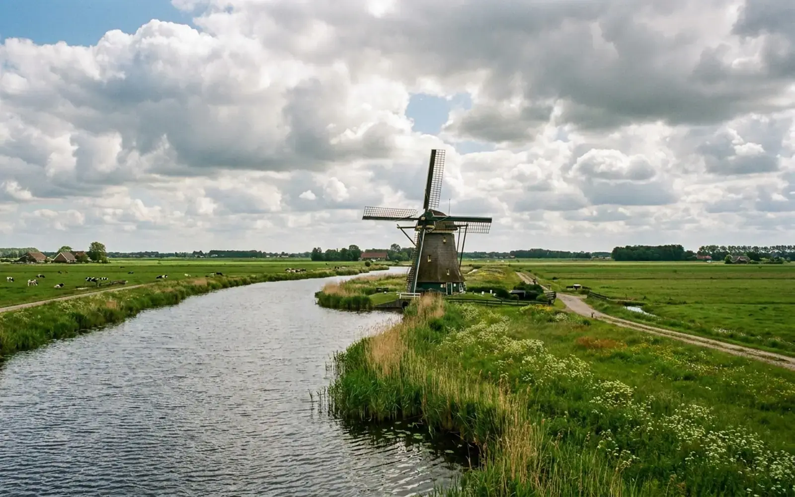 Nederlandse polder met een molen en een sloot onder een grote lucht